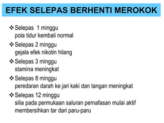 Selepas 1 minggu
pola tidur kembali normal
Selepas 2 minggu
gejala efek nikotin hilang
Selepas 3 minggu
stamina meningkat
Selepas 8 minggu
peredaran darah ke jari kaki dan tangan meningkat
Selepas 12 minggu
silia pada permukaan saluran pernafasan mulai aktif
membersihkan tar dari paru-paru
EFEK SELEPAS BERHENTI MEROKOK
 