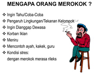 MENGAPA ORANG MEROKOK ?
 Ingin Tahu/Coba-Coba
 Pengaruh Lingkungan/Tekanan Kelompok
 Ingin Dianggap Dewasa
 Korban Iklan
 Meniru
 Mencontoh ayah, kakek, guru
 Kondisi stres:
dengan merokok merasa rileks
 