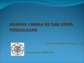 Prof. Dr. Endang Tri Wahyuni, MS.
Jurusan Kimia F.MIPA UGM
 