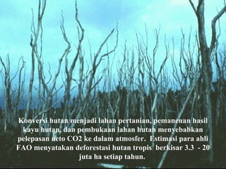 Konversi hutan menjadi lahan pertanian, pemanenan hasil
kayu hutan, dan pembukaan lahan hutan menyebabkan
pelepasan neto CO2 ke dalam atmosfer. Estimasi para ahli
FAO menyatakan deforestasi hutan tropis berkisar 3.3 - 20
juta ha setiap tahun.
 