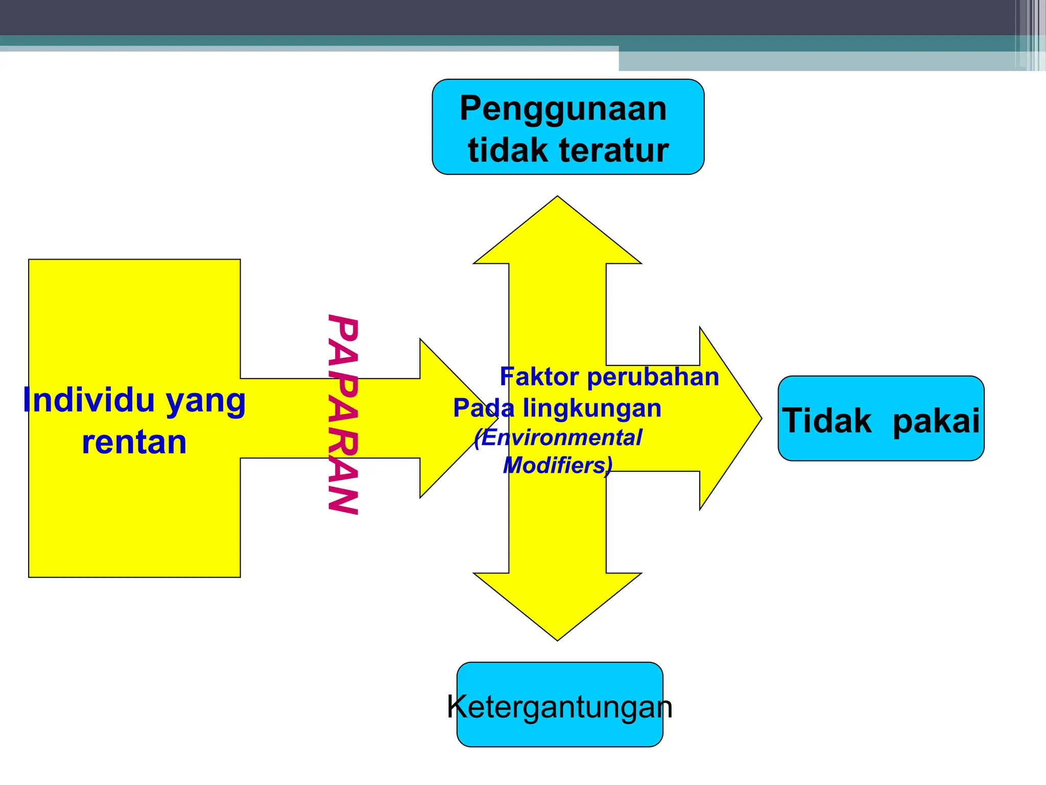 Individu yang
rentan
Faktor perubahan
Pada lingkungan
(Environmental
Modifiers)
Penggunaan
tidak teratur
Ketergantungan
Tidak pakai
PAPARAN
 