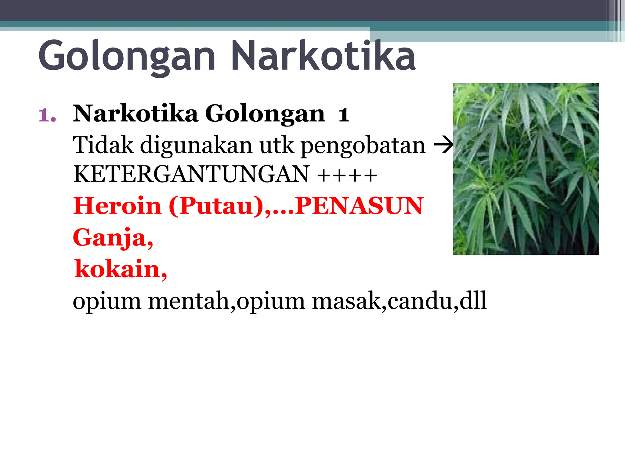 Golongan Narkotika
1. Narkotika Golongan 1
Tidak digunakan utk pengobatan 
KETERGANTUNGAN ++++
Heroin (Putau),…PENASUN
Ganja,
kokain,
opium mentah,opium masak,candu,dll
 