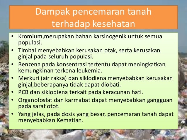 Dampak pencemaran tanah terhadap lingkungan Dampak pencemaran tanah terhadap lingkungan