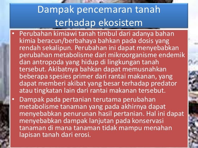 Gambar Mk Dasar Ilmu Tanah Biologi Wwww Marno Lecture Ub 