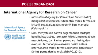 • International Agency for Research on Cancer (IARC)
mengklasifikasikan seluruh bentuk asbes, termasuk
krisotil, sebagai zat karsinogenik bagi manusia
(Kelompok 1).
• IARC menyatakan bahwa bagi manusia terdapat
bukti bahwa asbes, termasuk krisotil, menyebabkan
mesotelioma, dan kanker paru-paru, laring, dan
ovarium. Terdapat pula asosiasi positif antara
keterpaparan asbes, termasuk krisotil, dan kanker
faring, perut, dan kolorektal (IARC, 2012).
International Agency for Research on Cancer
POSISI ORGANISASI
INTERNASIONAL
 