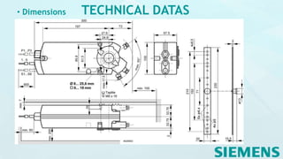 TECHNICAL DATAS• Dimensions
 