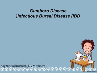 Gumboro Disease
Infectious Bursal Disease (IBD(
Asghar Bagherzadeh_DVM student
 