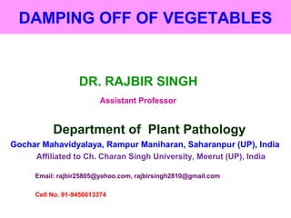 DAMPING OFF OF VEGETABLES
DR. RAJBIR SINGH
Assistant Professor
Department of Plant Pathology
Gochar Mahavidyalaya, Rampur Maniharan, Saharanpur (UP), India
Affiliated to Ch. Charan Singh University, Meerut (UP), India
Email: rajbir25805@yahoo.com, rajbirsingh2810@gmail.com
Cell No. 91-9456613374
 