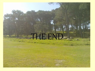 THE END
 