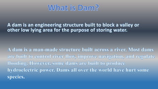 Dams | PPTX