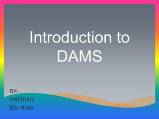 Introduction to
DAMS
BY-
ANSHIKA
BSc Hons
 
