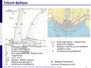 Τοξωτό φράγμα
Σπύρος Μίχας, Δημήτρης Δερματάς, Ανδρέας Ευστρατιάδης – Φράγματα και υδραυλικές κατασκευές - Εισαγωγή 34
 Φράγμα Ταυρωπού
Κατάλογος Ελλ.φραγμάτων ΕΕΦΤ
 