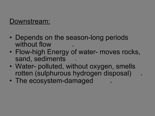 Downstream: Depends on the season-long periods without flow  2 Flow-high Energy of water- moves rocks, sand, sediments  1 Water- polluted, without oxygen, smells rotten (sulphurous hydrogen disposal)  2 The ecosystem-damaged  2 
