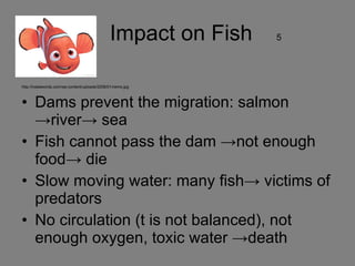 Impact on Fish  5   http://inadawords.com/wp-content/uploads/2008/01/nemo.jpg Dams prevent the migration: salmon ->river-> sea Fish cannot pass the dam ->not enough food-> die Slow moving water: many fish-> victims of predators  No circulation (t is not balanced), not enough oxygen, toxic water ->death  