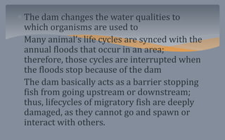 Dams and their role in environment. | PPTX