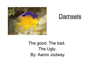 Damsels The good. The bad.  The Ugly. By: Aaron Jodway 
