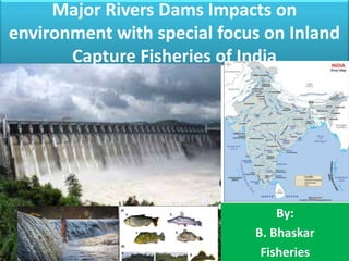 Major Rivers Dams Impacts on
environment with special focus on Inland
Capture Fisheries of India
By:
B. Bhaskar
Fisheries
 