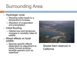 Surrounding Area
   Hydrologic cycle
       Standing water leads to a
        temperature increase
       Alteration of evaporation
        and precipitation
   Initial flooding
       Habitat loss and temporary
        increase in mortality rates of
        wildlife
   Mixed effects on local
    wildlife
       Species specific effects
        dependent on adjustment to       Shasta Dam reservoir in
        newly formed ecotone-            California
        benefits species such as
        waterfowl
 