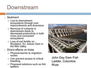 Downstream
   Sediment
       Lost to downstream
        ecosystems through river
        impoundments and diversions
       Removal of nutrients in
        downstream leads to
        decreased productivity in both
        rivers and connected
        ecosystems
       Loss of soil fertility on
        floodplain. Ex- Aswan Dam in
        the Nile Valley
   Direct effects on biota
       Physical barrier to migration
        routes
       Can prevent access to critical    John Day Dam Fish
        breeding                          Ladder, Columbia
       Proposed solutions such as fish   River
        ladders
 