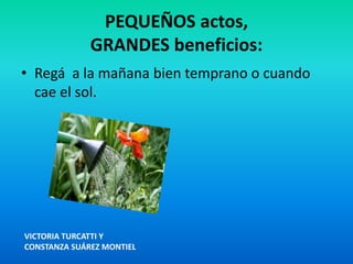 PEQUEÑOS actos,
GRANDES beneficios:
• Regá a la mañana bien temprano o cuando
cae el sol.
VICTORIA TURCATTI Y
CONSTANZA SUÁREZ MONTIEL
 
