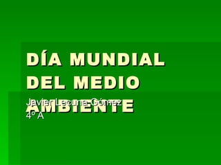 DÍA MUNDIAL DEL MEDIO AMBIENTE Javier Lecuna Gómez 4º A 