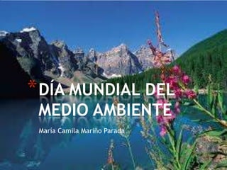 María Camila Mariño Parada
*DÍA MUNDIAL DEL
MEDIO AMBIENTE
 