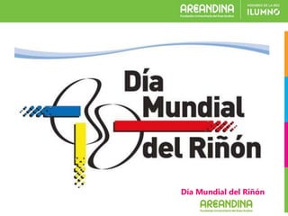 Día Mundial del Riñón
 