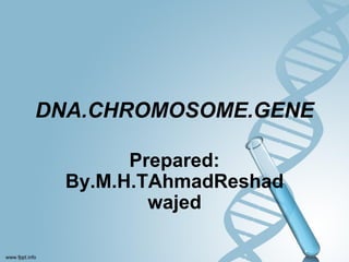 DNA.CHROMOSOME.GENE
Prepared:
By.M.H.TAhmadReshad
wajed
 