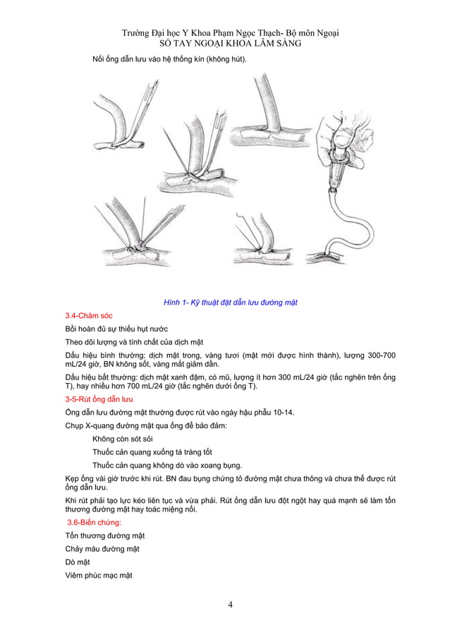 Dan Luu Ok | PDF