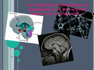 Los desequilibrios adolescentes son consecuencia de la gran actividad neuronal de esa etapa vital…..