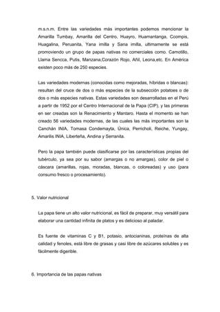 m.s.n.m. Entre las variedades más importantes podemos mencionar la
   Amarilla Tumbay, Amarilla del Centro, Huayro, Huamantanga, Ccompis,
   Huagalina, Peruanita, Yana imilla y Sana imilla, ultimamente se está
   promoviendo un grupo de papas nativas no comerciales como. Camotillo,
   Llama Sencca, Putis, Manzana,Corazón Rojo, Añil, Leona,etc. En América
   existen poco más de 250 especies.


   Las variedades modernas (conocidas como mejoradas, híbridas o blancas):
   resultan del cruce de dos o más especies de la subsección potatoes o de
   dos o más especies nativas. Estas variedades son desarrolladas en el Perú
   a partir de 1952 por el Centro Internacional de la Papa (CIP), y las primeras
   en ser creadas son la Renacimiento y Mantaro. Hasta el momento se han
   creado 56 variedades modernas, de las cuales las más importantes son la
   Canchán INIA, Tomasa Condemayta, Única, Perricholi, Reiche, Yungay,
   Amarilis INIA, Liberteña, Andina y Serranita.


   Pero la papa también puede clasificarse por las características propias del
   tubérculo, ya sea por su sabor (amargas o no amargas), color de piel o
   cáscara (amarillas, rojas, moradas, blancas, o coloreadas) y uso (para
   consumo fresco o procesamiento).




5. Valor nutricional


   La papa tiene un alto valor nutricional, es fácil de preparar, muy versátil para
   elaborar una cantidad infinita de platos y es delicioso al paladar.


   Es fuente de vitaminas C y B1, potasio, antocianinas, proteínas de alta
   calidad y fenoles, está libre de grasas y casi libre de azúcares solubles y es
   fácilmente digerible.




6. Importancia de las papas nativas
 
