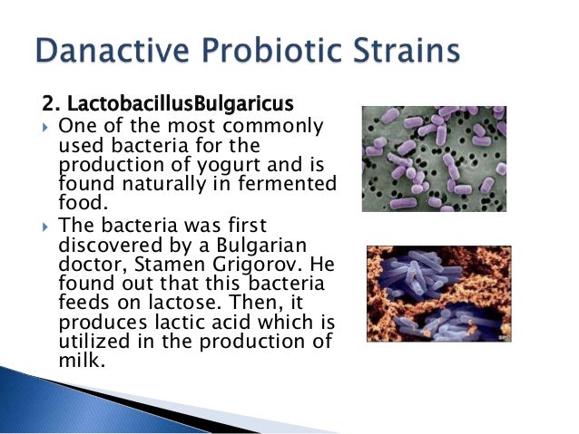 DanActive Probiotic