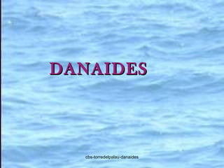 DANAIDES cbs-torredelpalau-danaides 