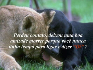 Perdeu contato, deixou uma boa amizade morrer porque você nunca tinha tempo para ligar e dizer  “Oi”  ? 