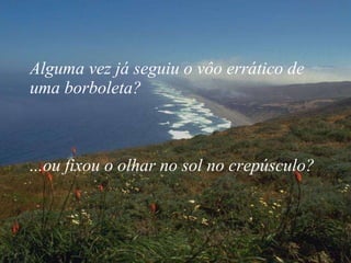 Alguma vez já seguiu o vôo errático de uma borboleta?  ...ou fixou o olhar no sol no crepúsculo? 