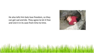 He also tells him bats love freedom, so they
can get sad and die. They agree to let it free
and visit it in its cave from time to time.
 