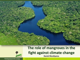 The role of mangroves in the
fight against climate change
         Daniel Murdiyarso
 
