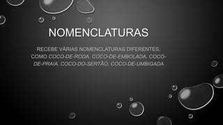 NOMENCLATURAS
RECEBE VÁRIAS NOMENCLATURAS DIFERENTES,
COMO COCO-DE-RODA, COCO-DE-EMBOLADA, COCODE-PRAIA, COCO-DO-SERTÃO, COCO-DE-UMBIGADA

 