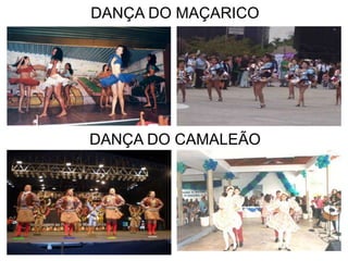 DANÇA DO MAÇARICO
DANÇA DO CAMALEÃO
 