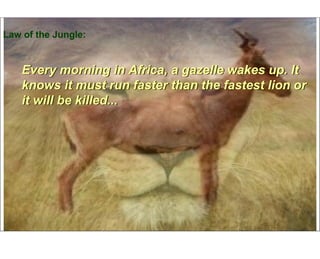 Law of the Jungle:


    Every morning in Africa, a gazelle wakes up. It
    knows it must run faster than the fastest lion or
    it will be killed...
 