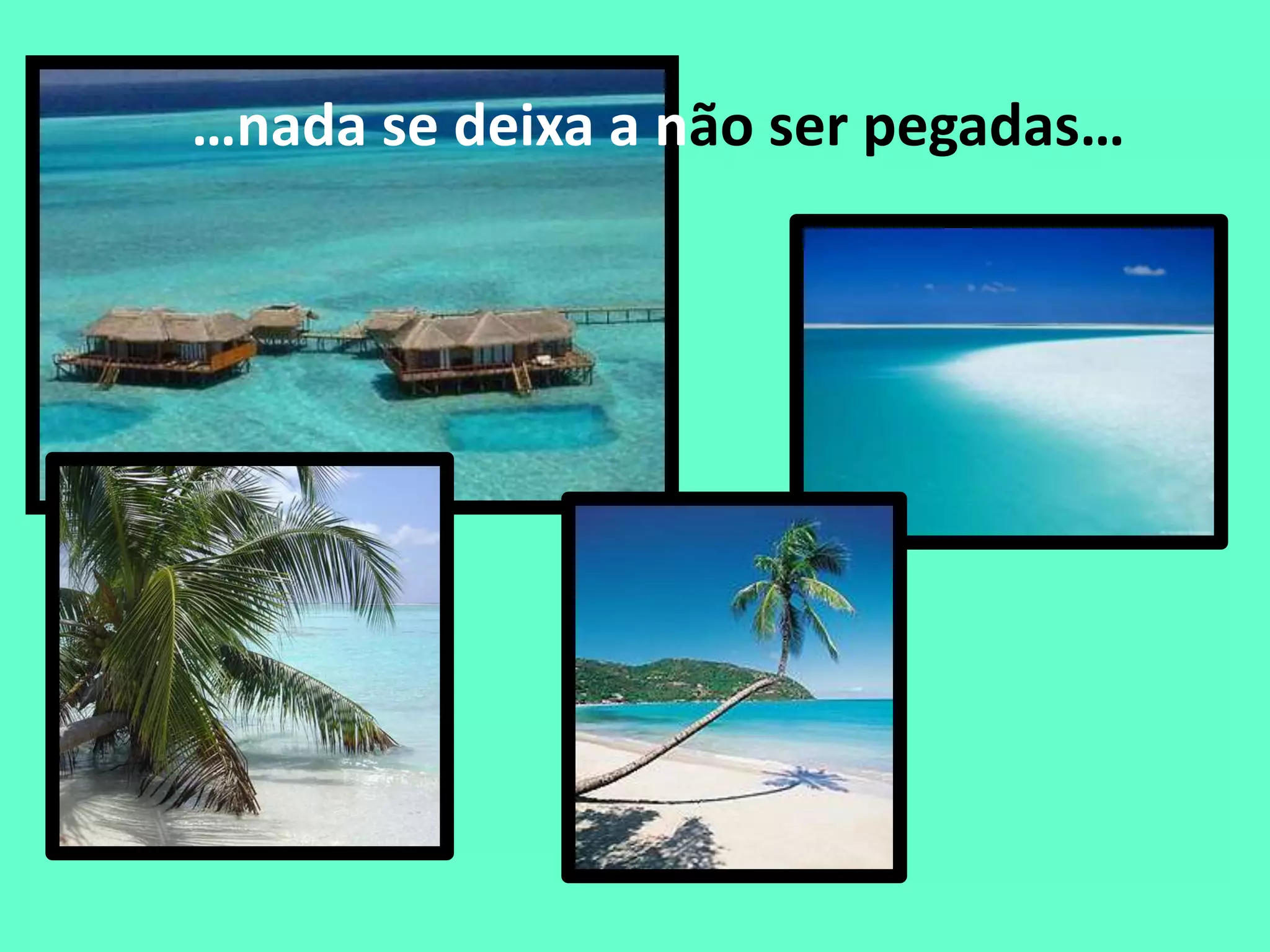 Da Natureza Nada Se Tira