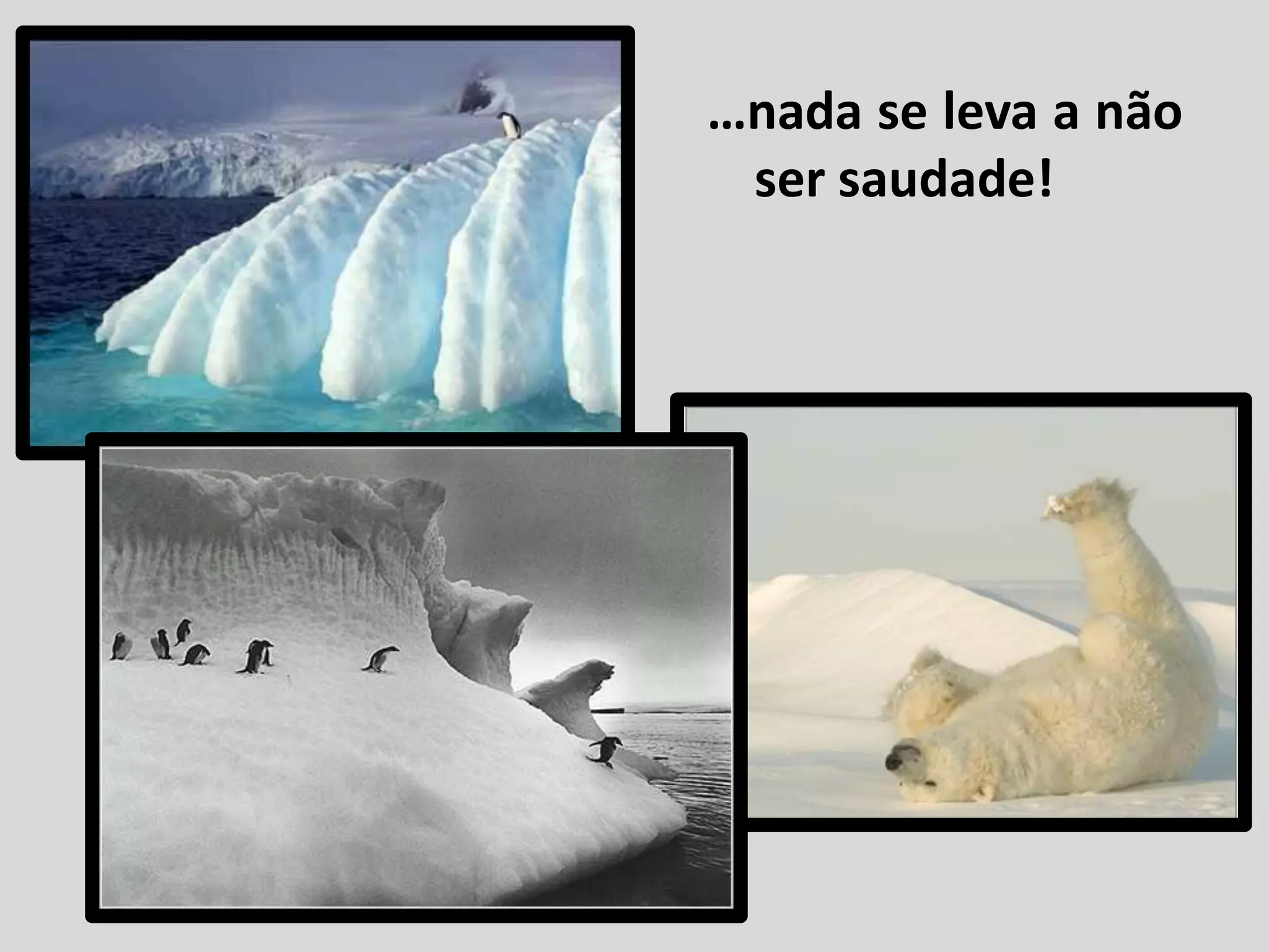 Da Natureza Nada Se Tira