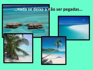 Da Natureza Nada Se Tira