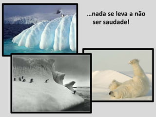 Da Natureza Nada Se Tira