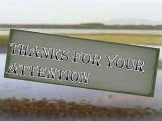 Thanks for your attention