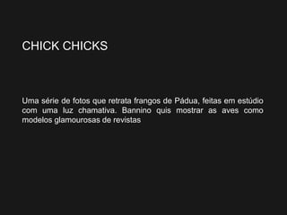 CHICK CHICKS
Uma série de fotos que retrata frangos de Pádua, feitas em estúdio
com uma luz chamativa. Bannino quis mostrar as aves como
modelos glamourosas de revistas
 
