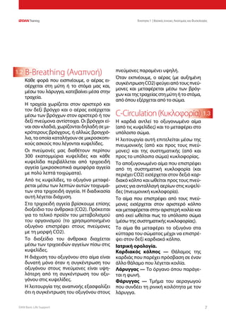 DAN Basic Life Support 77
Ενοτητα 1 | Βασικές έννοιες Ανατομίας και Φυσιολογίας
1.3
1.2 B-Breathing (Αναπνοή)
Κάθε φορά που εισπνέουμε, ο αέρας ει-
σέρχεται στη μύτη ή το στόμα μας και,
μέσω του λάρυγγα, κατεβαίνει μέσα στην
τραχεία.
Η τραχεία χωρίζεται στον αριστερό και
τον δεξί βρόγχο και ο αέρας εισέρχεται
μέσω των βρόγχων στον αριστερό ή τον
δεξί πνεύμονα αντίστοιχα. Οι βρόγχοι εί-
ναι σαν κλαδιά, χωρίζονται δηλαδή σε μι-
κρότερους βρόγχους, ή αλλιώς βρογχιό-
λια, τα οποία καταλήγουν σε μικροσκοπι-
κούς ασκούς που λέγονται κυψελίδες.
Οι πνεύμονές μας διαθέτουν περίπου
300 εκατομμύρια κυψελίδες και κάθε
κυψελίδα περιβάλλεται από τριχοειδή
αγγεία (μικροσκοπικά αιμοφόρα αγγεία
με πολύ λεπτά τοιχώματα).
Από τις κυψελίδες, το οξυγόνο μεταφέ-
ρεται μέσω των λεπτών αυτών τοιχωμά-
των στα τριχοειδή αγγεία. Η διαδικασία
αυτή λέγεται διάχυση.
Στα τριχοειδή αγγεία βρίσκουμε επίσης
διοξείδιο του άνθρακα (CO2). Πρόκειται
για το τελικό προϊόν του μεταβολισμού
του οργανισμού (το χρησιμοποιημένο
οξυγόνο επιστρέφει στους πνεύμονες
με τη μορφή CO2).
Το διοξείδιο του άνθρακα διαχέεται
μέσω των τριχοειδών αγγείων πίσω στις
κυψελίδες.
Η διάχυση του οξυγόνου στο αίμα είναι
δυνατή μόνο όταν η συγκέντρωση του
οξυγόνου στους πνεύμονες είναι υψη-
λότερη από τη συγκέντρωση του οξυ-
γόνου στις κυψελίδες.
Η λειτουργία της αναπνοής εξασφαλίζει
ότι η συγκέντρωση του οξυγόνου στους
πνεύμονες παραμένει υψηλή.
Όταν εκπνέουμε, ο αέρας (με αυξημένη
συγκέντρωσηCO2)φεύγειαπότουςπνεύ-
μονες και μεταφέρεται μέσω των βρόγ-
χωνκαιτηςτραχείαςστημύτηήτοστόμα,
από όπου εξέρχεται από το σώμα.
C-Circulation(Κυκλοφορία)
Η καρδιά αντλεί το οξυγονωμένο αίμα
(από τις κυψελίδες) και το μεταφέρει στο
υπόλοιπο σώμα.
Η λειτουργία αυτή επιτελείται μέσω της
πνευμονικής (από και προς τους πνεύ-
μονες) και της συστηματικής (από και
προς το υπόλοιπο σώμα) κυκλοφορίας.
Το αποξυγονωμένο αίμα που επιστρέφει
από τη συστηματική κυκλοφορία (και
περιέχει CO2) εισέρχεται στον δεξιό καρ-
διακό κόλπο και ωθείται προς τους πνεύ-
μονες για ανταλλαγή αερίων στις κυψελί-
δες (πνευμονική κυκλοφορία).
Το αίμα που επιστρέφει από τους πνεύ-
μονες εισέρχεται στον αριστερό κόλπο
και μεταφέρεται στην αριστερή κοιλία και
από εκεί ωθείται πως το υπόλοιπο σώμα
(μέσω της συστηματικής κυκλοφορίας).
Το αίμα θα μεταφέρει το οξυγόνο στα
κύτταρα του σώματος μέχρι να επιστρέ-
ψει στον δεξί καρδιακό κόλπο.
Ιατρική ορολογία.
Καρδιακός κόλπος — Θάλαμος της
καρδιάς που παρέχει πρόσβαση σε έναν
άλλο θάλαμο που λέγεται κοιλία.
Λάρυγγας — Το όργανο όπου παράγε-
ται η φωνή.
Φάρυγγας — Τμήμα του αεραγωγού
που συνδέει τη ρινική κοιλότητα με τον
λάρυγγα.
 