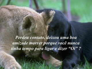 Perdeu contato, deixou uma boa amizade morrer porque você nunca tinha tempo para ligar e dizer “Oi” ? 