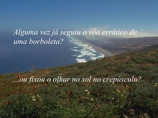 Alguma vez já seguiu o vôo errático de uma borboleta?  ...ou fixou o olhar no sol no crepúsculo? 