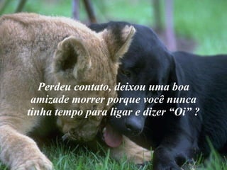 Perdeu contato, deixou uma boa amizade morrer porque você nunca tinha tempo para ligar e dizer “Oi” ? 